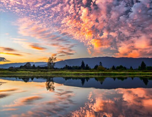 浙江队战术灵活，助力赢得比赛