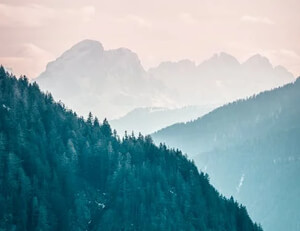 欧冠预选赛赛场上演绝佳对决,看点十足