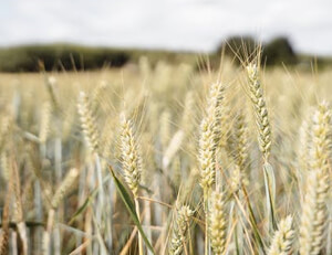 上海上港击败对手,小组出线前景迎来曙光