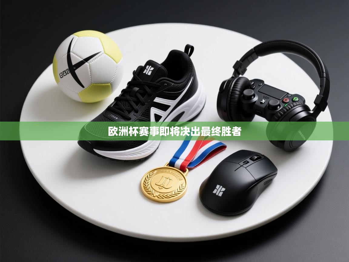 欧洲杯赛事即将决出最终胜者  第2张